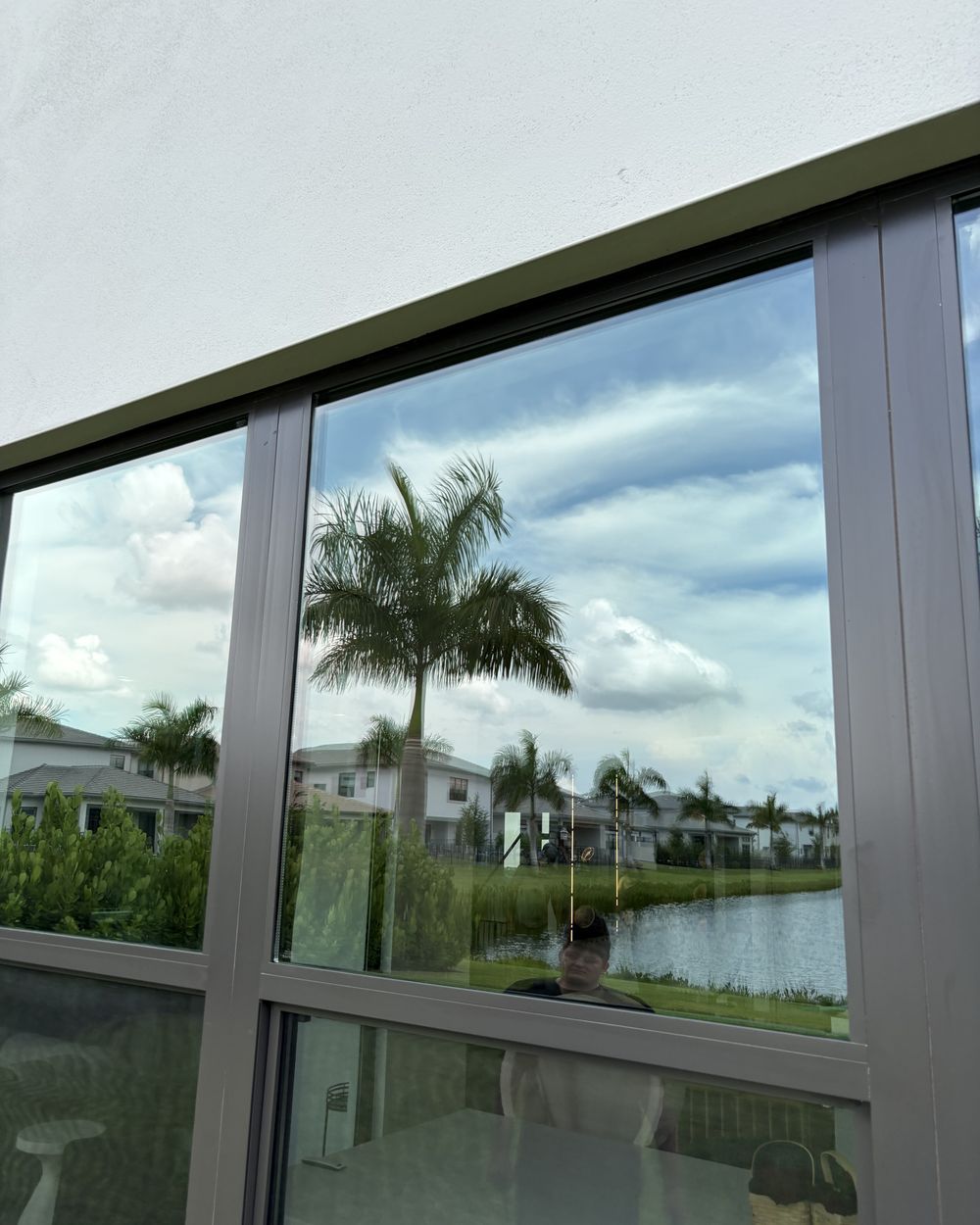 Wide window with a crisp palm reflection